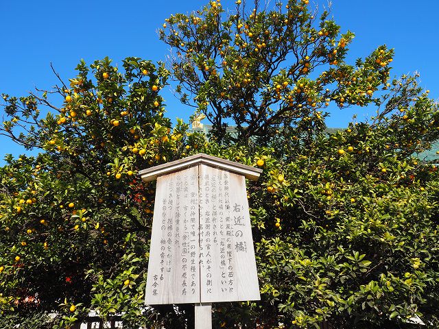 右近の橘 左近の桜 | 渋崎建設（長野県,諏訪市）