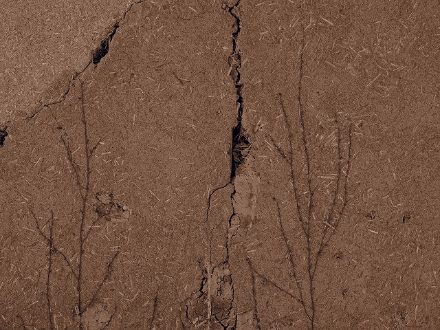 P2220177