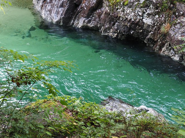 PA070194